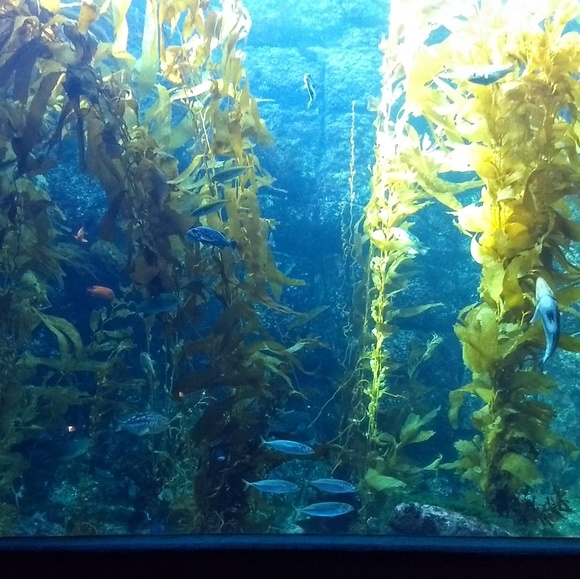 Meet your Posher, Anna - Picture 1 of 1